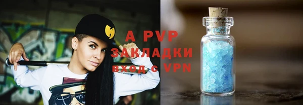 трава Белокуриха
