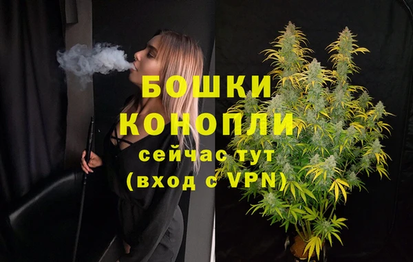 трава Белокуриха